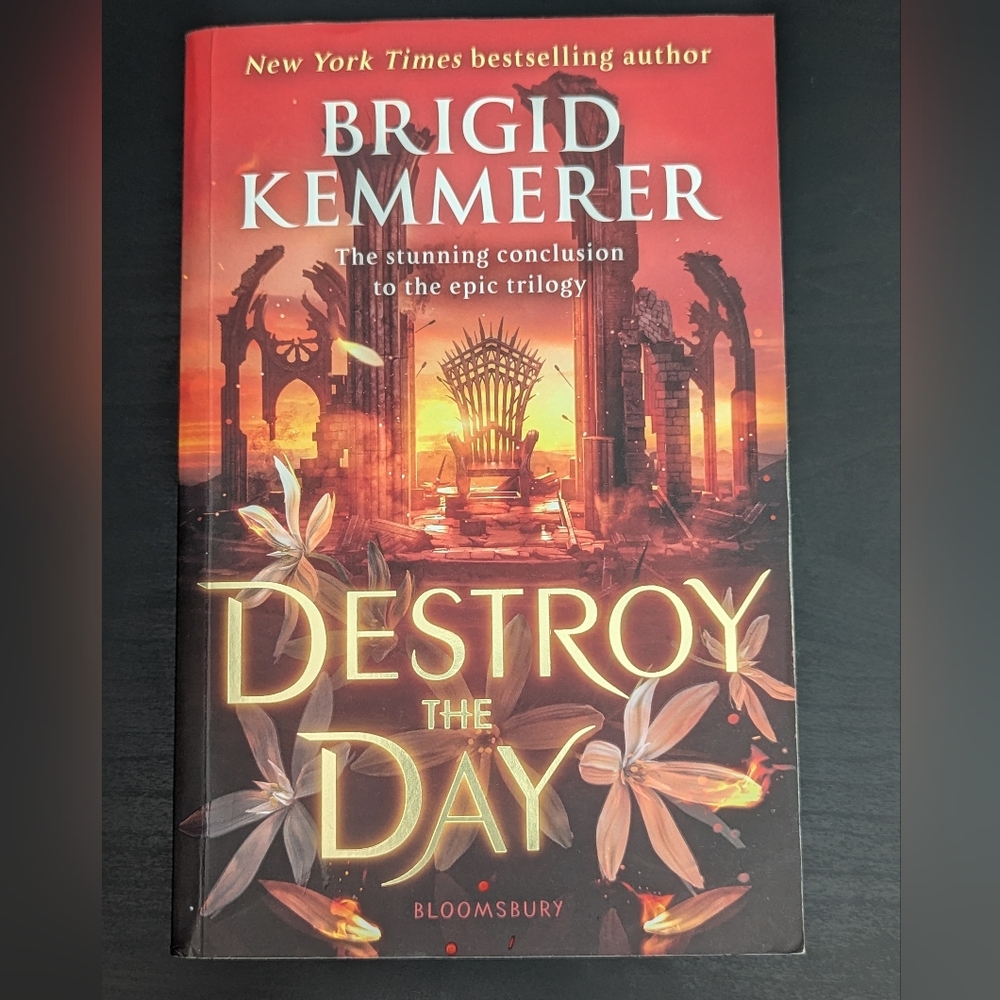 4/$10 📚‎ Destroy the Day by Brigid Kemmerer